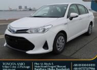 TOYOTA AXIO G 2019 WHITE