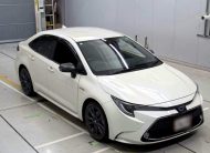 TOYOTA COROLLA WXB 2020 PEARL