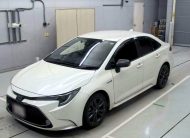 TOYOTA COROLLA WXB 2020 PEARL