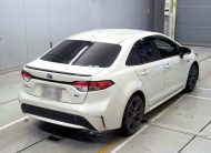 TOYOTA COROLLA WXB 2020 PEARL
