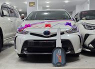 TOYOTA PRIUS ALPHA 2020 PEARL