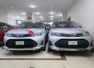 TOYOTA AXIO X HYBRID 2019 SILVER