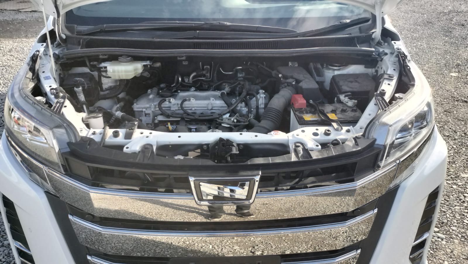 TOYOTA NOAH WXB 2021 MODEL PEARL COLOR