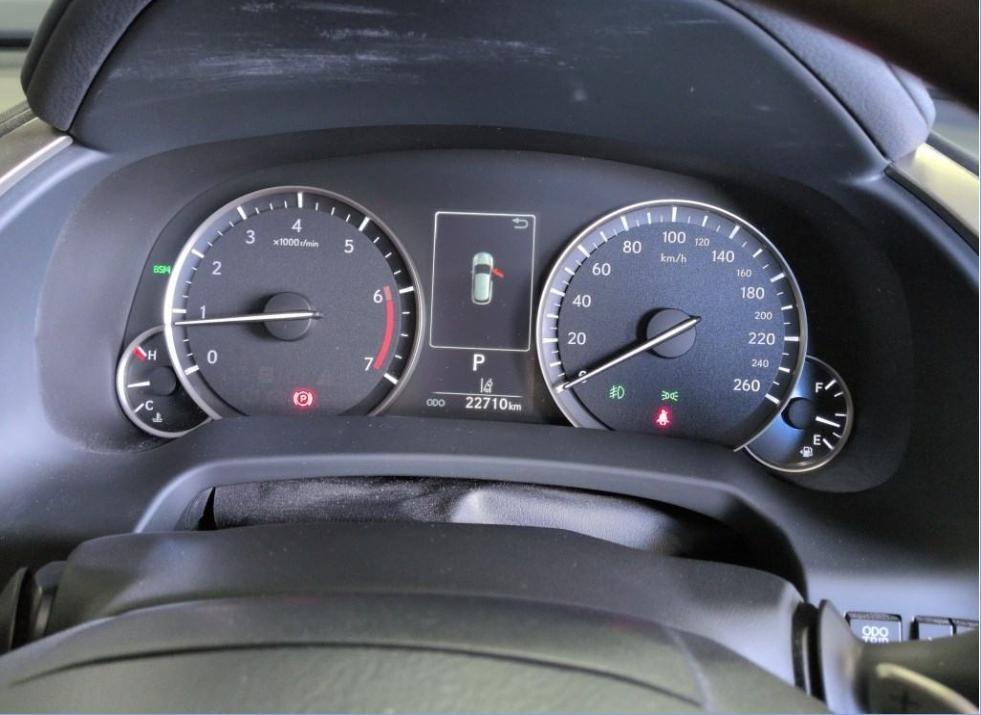 LEXUS RX300 VERSION L 2021 MODEL PEARL COLOR