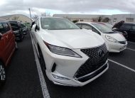 LEXUS RX300 VERSION L 2021 MODEL PEARL COLOR
