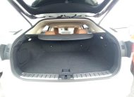 LEXUS RX300 VERSION L 2021 MODEL PEARL COLOR