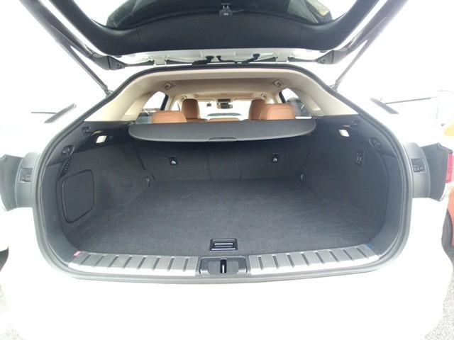 LEXUS RX300 VERSION L 2021 MODEL PEARL COLOR