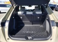 HONDA VEZEL ELECTRIC HYBRID 2021 MODEL BROWN COLOR