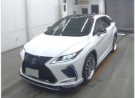 LEXUS RX NON HYBRID BODYKIT 2021 MODEL PEARL COLOR