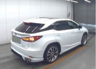 LEXUS RX NON HYBRID BODYKIT 2021 MODEL PEARL COLOR