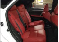 LEXUS RX NON HYBRID BODYKIT 2021 MODEL PEARL COLOR
