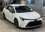 TOYOTA COROLLA WXB HYBRID 2020 MODEL PEARL COLOR