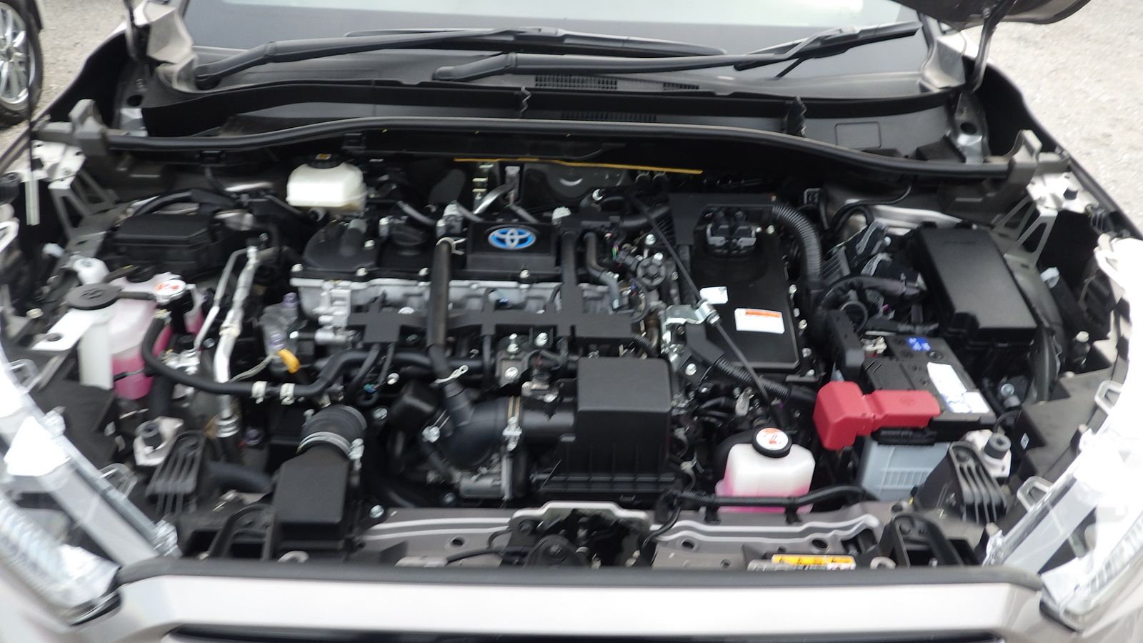 TOYOTA COROLLA CROSS Z LEATHER 2021 MODEL BRONZE COLOR