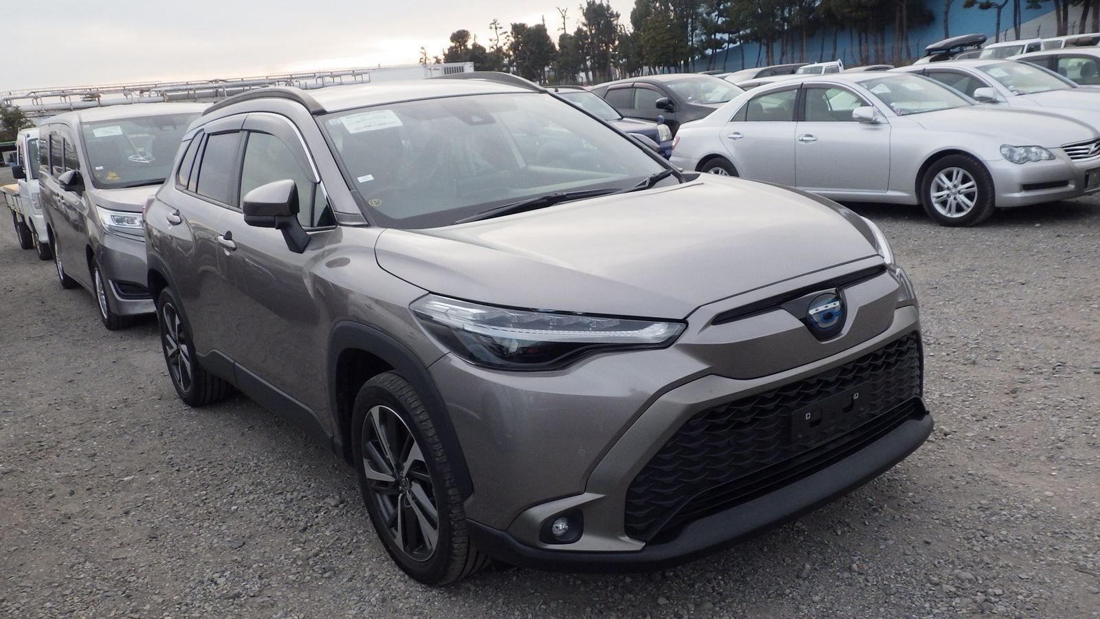 TOYOTA COROLLA CROSS Z LEATHER 2021 MODEL BRONZE COLOR