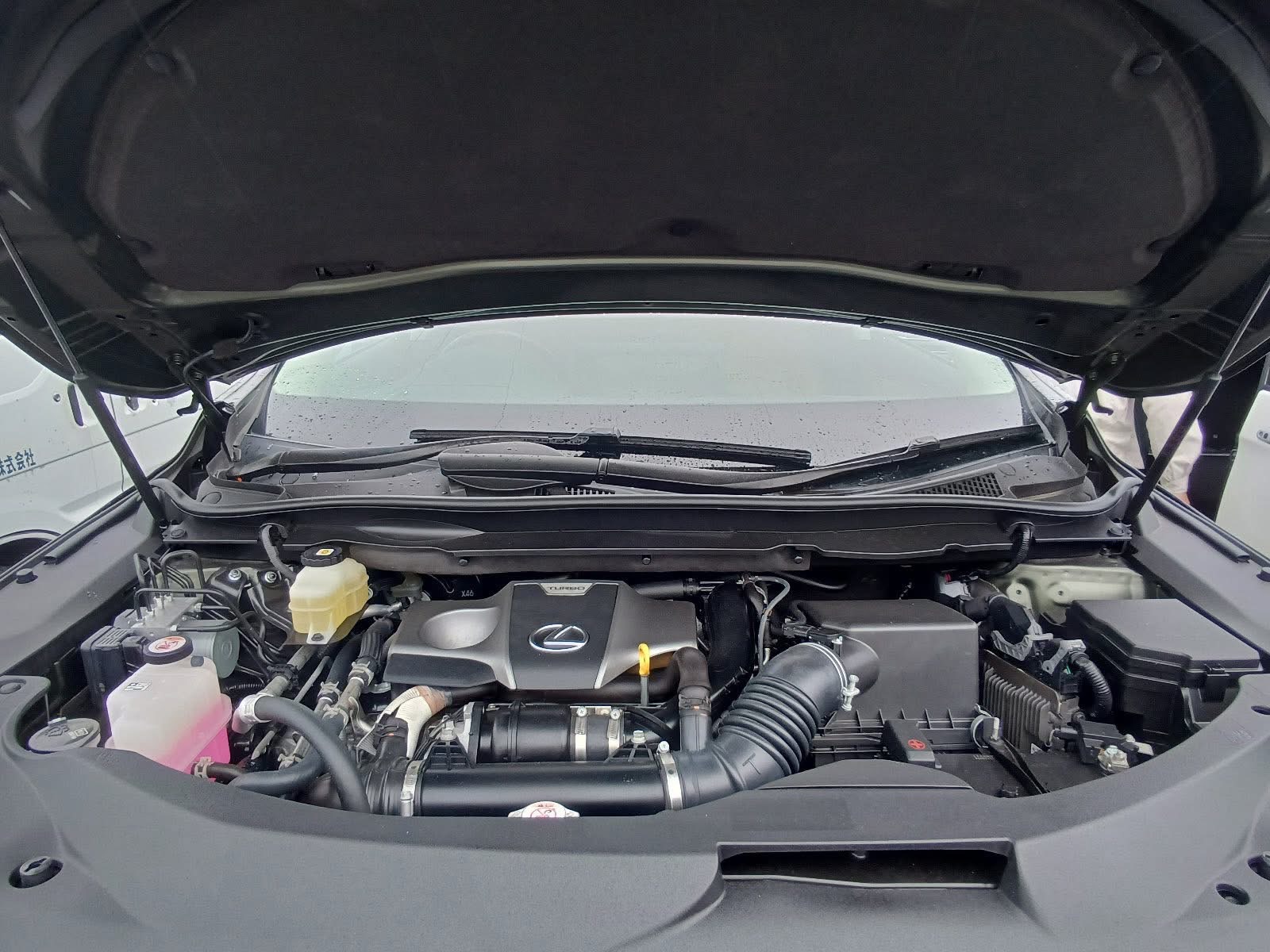 LEXUS RX300 VERSION L 2022 MODEL BLACK COLOR