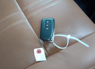 LEXUS RX300 VERSION L 2022 MODEL BLACK COLOR