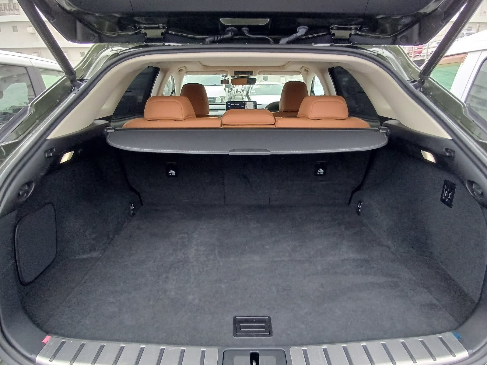 LEXUS RX300 VERSION L 2022 MODEL BLACK COLOR